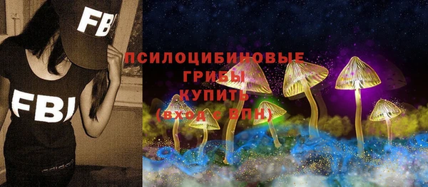 дживик Арсеньев
