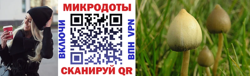 наркотики  Починок  Галлюциногенные грибы MAGIC MUSHROOMS 